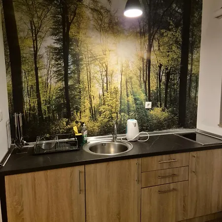 Apartamento Novakovic *